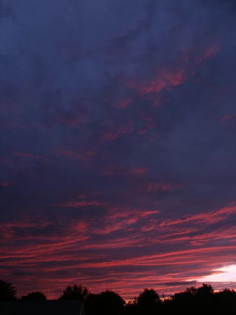 pict5085