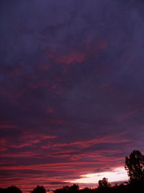 pict5087