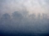 Foggy Night
