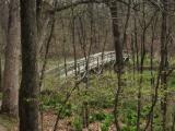Pinckney Bridge