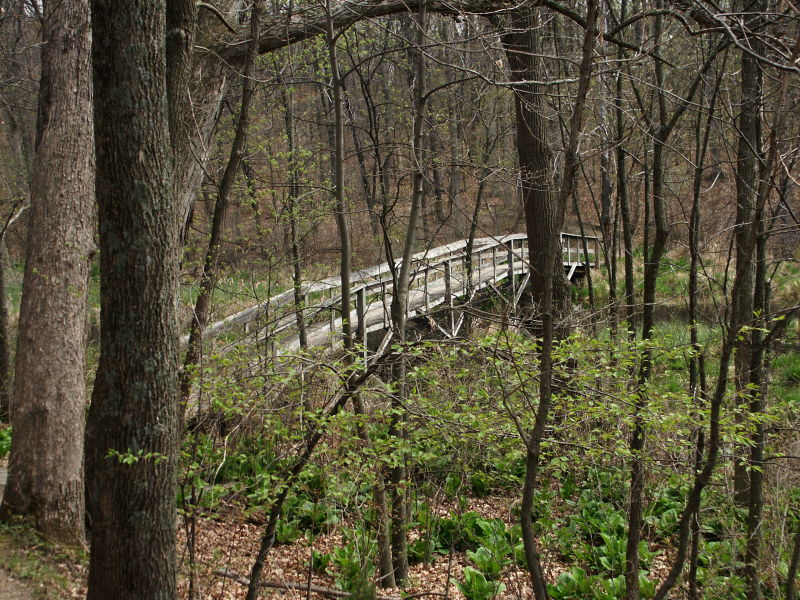 Pinckney Bridge