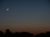 Moon over Harley-Davidson
