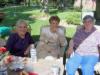 Image img_2331.jpg